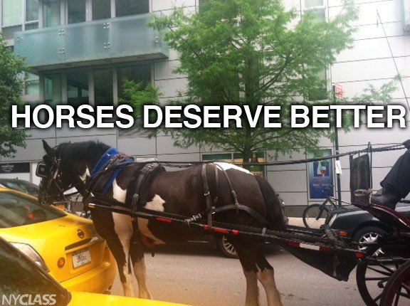 horsecarriage2.jpeg